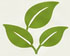 100% Natural Ingredients